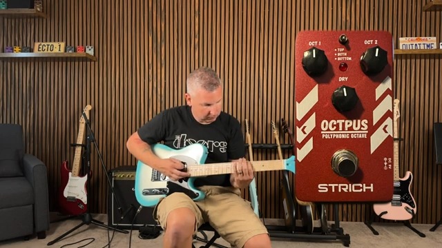 STRICH Polyphonic Octave Guitar Pedal, True Bypass, Digital 3